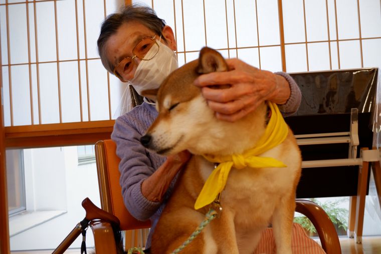 気持ちいい所を撫でてもらって千代ちゃんも嬉しそう♪